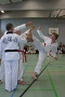 IMG_8539_bearbeitet-1