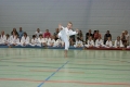 IMG_2391_bearbeitet-1