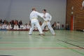 IMG_2442_bearbeitet-1