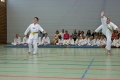 IMG_2460_bearbeitet-1