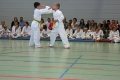 IMG_2471_bearbeitet-1