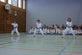 IMG_2479_bearbeitet-1