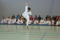 IMG_2512_bearbeitet-1