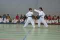 IMG_2525_bearbeitet-1