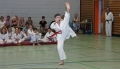 IMG_2616_bearbeitet-2