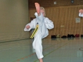 100_7558_bearbeitet-1