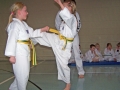 100_7581_bearbeitet-1