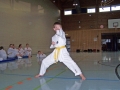 100_7587_bearbeitet-1