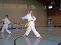100_7592_bearbeitet-1