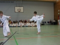 IMG_0822_bearbeitet-1.jpg