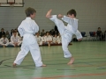 IMG_0830_bearbeitet-1.jpg