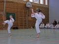 IMG_0869_bearbeitet-1.jpg