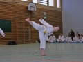 IMG_0872_bearbeitet-1.jpg
