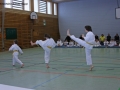 IMG_0878_bearbeitet-1.jpg