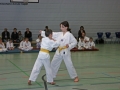 IMG_0879_bearbeitet-1.jpg