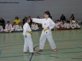 IMG_0881_bearbeitet-1.jpg
