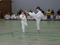 IMG_0889_bearbeitet-1.jpg