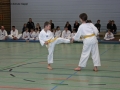 IMG_0892_bearbeitet-1.jpg