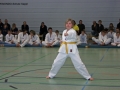 IMG_0896_bearbeitet-1.jpg