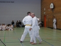 IMG_0917_bearbeitet-1.jpg
