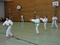 IMG_0946_bearbeitet-1.jpg