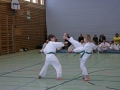 IMG_0949_bearbeitet-1.jpg