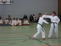 IMG_0950_bearbeitet-1.jpg