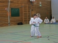 IMG_0953_bearbeitet-1.jpg