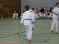 IMG_0957_bearbeitet-1.jpg