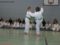 IMG_0959_bearbeitet-1.jpg