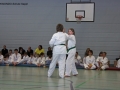 IMG_0961_bearbeitet-1.jpg