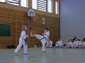 IMG_0962_bearbeitet-1.jpg