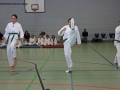 IMG_0980_bearbeitet-1.jpg