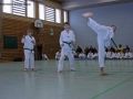 IMG_0986_bearbeitet-1.jpg