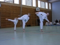 IMG_0987_bearbeitet-1.jpg