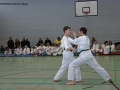 IMG_1005_bearbeitet-1.jpg