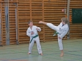 IMG_1024_bearbeitet-1.jpg