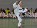 IMG_1075_bearbeitet-1.jpg