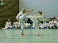 IMG_1131_bearbeitet-1.jpg