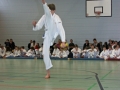 IMG_1151_bearbeitet-1.jpg