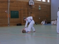 IMG_1266_bearbeitet-1.jpg
