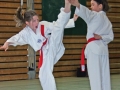 IMG_1320_bearbeitet-2.jpg