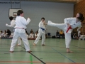 IMG_1321_bearbeitet-1.jpg