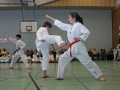 IMG_1334_bearbeitet-1.jpg