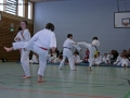IMG_1338_bearbeitet-1.jpg