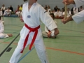 IMG_1342_bearbeitet-1.jpg