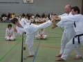 IMG_1347_bearbeitet-1.jpg