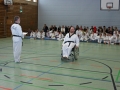 IMG_1354_bearbeitet-1.jpg