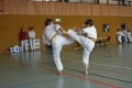 IMG_5139_bearbeitet-1