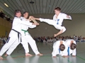 100_7102_bearbeitet-1